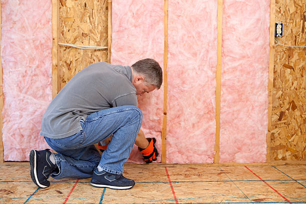 Best Insulation Installation Services in Aragon, GA