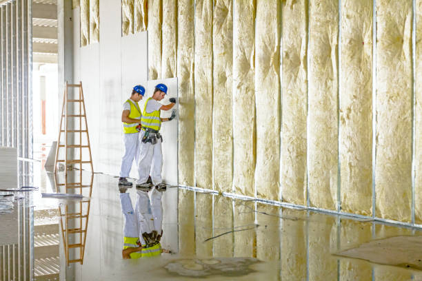 Best Insulation Installation Services in Aragon, GA